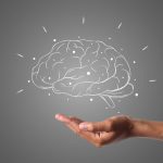 La dieta che salva il cervello