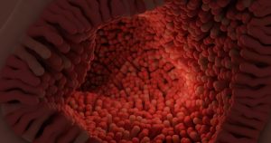 Batteri, utili amici per la salute fisica e psichica