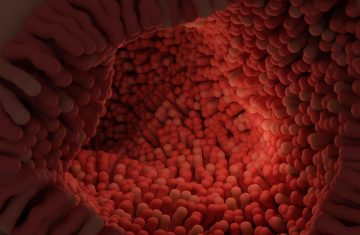 Batteri, utili amici per la salute fisica e psichica