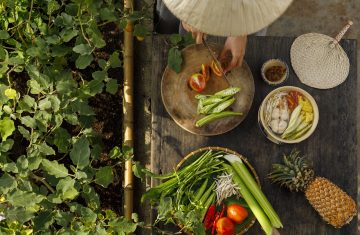I 4 principi aurei dell’alimentazione naturale