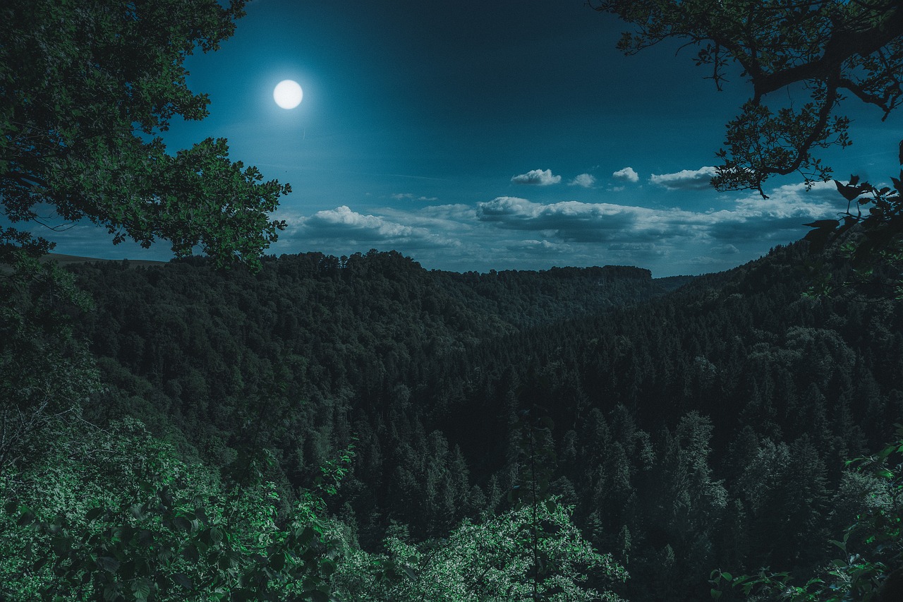 Effetto luna