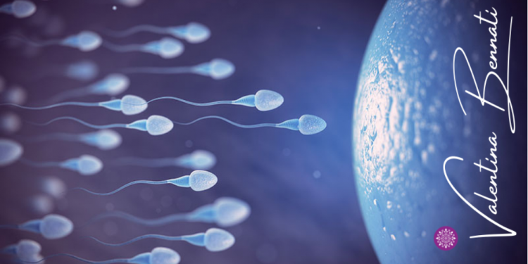 Metformina pre-concepimento e malformazioni genitali nascituri