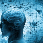 Le placche aterosclerotiche dialogano con il cervello, scoperta che apre a nuove prospettive di cura