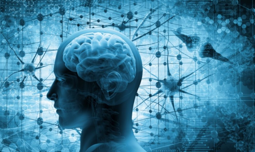 Le placche aterosclerotiche dialogano con il cervello, scoperta che apre a nuove prospettive di cura