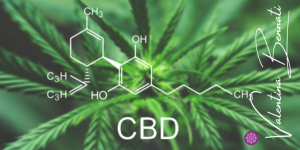 Cannabis: possibile ruolo attivo nella prevenzione della Covid-19
