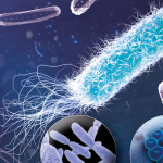 Una scoperta casuale potrebbe risolvere il problema della resistenza antibiotica