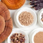 Funghi officinali: preziosa risorsa per la salute