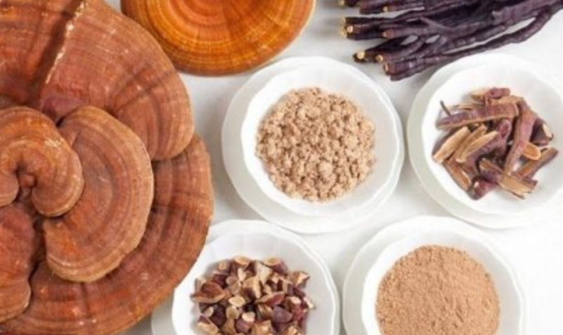 Funghi officinali: preziosa risorsa per la salute