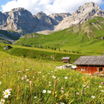 Più di un fiore
