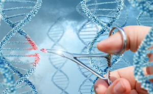 Le terapie CRISPR potrebbero promuovere il cancro
