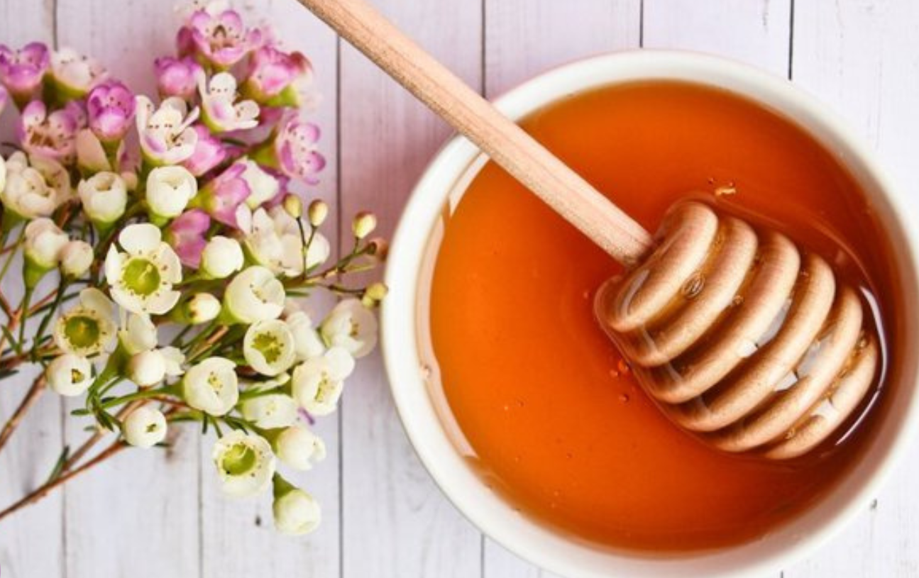 Miele di Manuka possibile risorsa per le infezioni polmonari resistenti ai farmaci