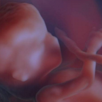 “Un cuore che batte”: una firma per la Vita