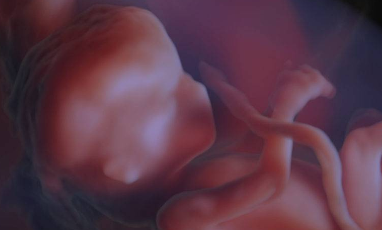 “Un cuore che batte”: una firma per la Vita