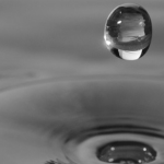 Tenaci come l’acqua