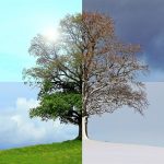Rispettare la stagionalità