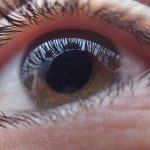 Vitamine B e colina: nuova arma contro il glaucoma?