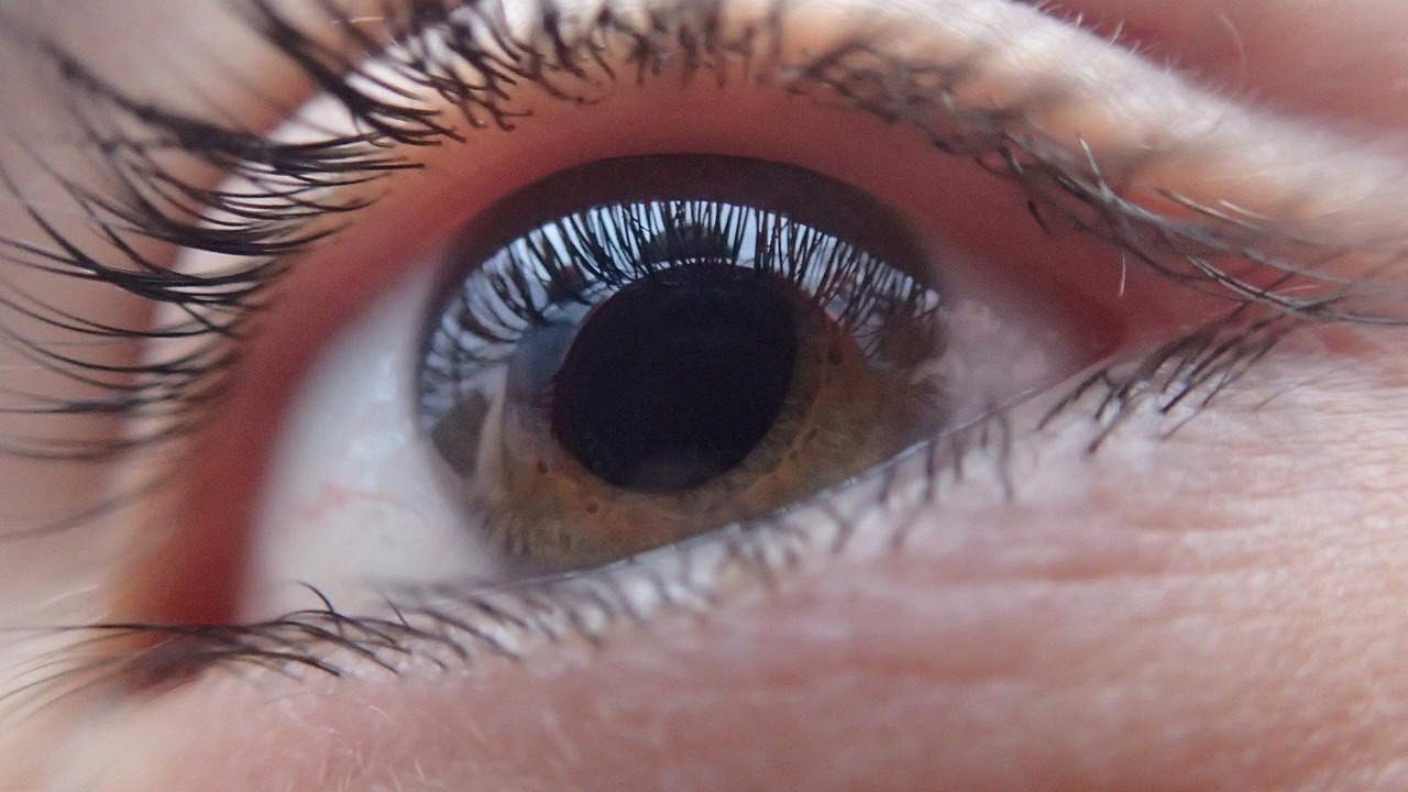 Vitamine B e colina: nuova arma contro il glaucoma?