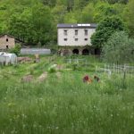 Una cascina nel bosco: quando mollare tutto non è più un sogno