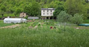Una cascina nel bosco: quando mollare tutto non è più un sogno