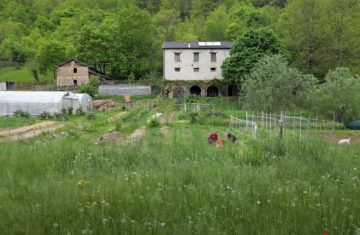 Una cascina nel bosco: quando mollare tutto non è più un sogno