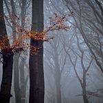 Restare in piedi quando il mondo crolla