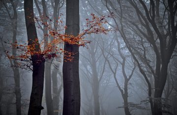 Restare in piedi quando il mondo crolla