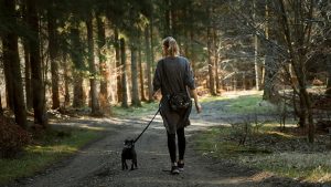 Sedentari da tempo? Come ripartire senza farsi male