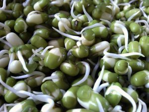 Cereali e legumi germogliati: più nutrienti, più disponibili