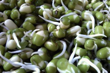 Cereali e legumi germogliati: più nutrienti, più disponibili