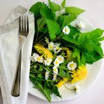 Erbe di campo: riscoprire sapori antichi che fanno bene