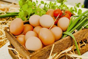 Uova: il superfood che protegge il cervello (e non va temuto)