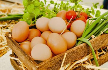 Uova: il superfood che protegge il cervello (e non va temuto)